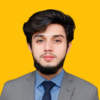 Shahzaib S.
