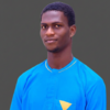 Akinsanya S.