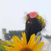 Taniya S.