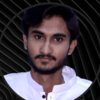 Shahzaib S.