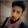 Shahzaib Ul H.