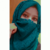 Shaista P.