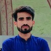 Tauqeer A.