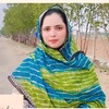 Zeenat A.