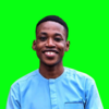 Abiodun A.