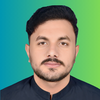 Malik Mubashar H.