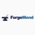 ForgeMend T.