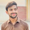 Hamid R.