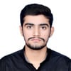 Mirza S.