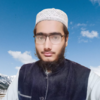 HAFIZ S.