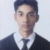 Parth S.