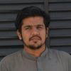 Ameer Hamza B.