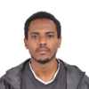 Fikremariam F.