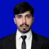 Syed Wajahat H.