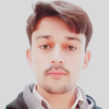 Aamir S.