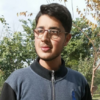 Adeel A.