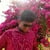 Sudhish G.
