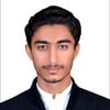 Zulqar N.