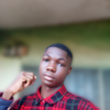 Adedeji F.