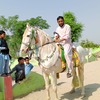 Rafaqat A.