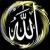 Umer S.