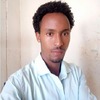 Wendimu Tolessa T.