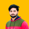 Shahzaib M.