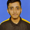 Ali H.