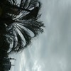 Abhishek P.