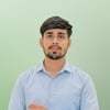 Ali Hassnain B.