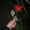 Amna S.