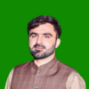 Tayyab  N.