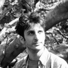Nicola D.