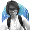 Amerin N.