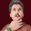 Arslan T.