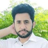 Ghazanfar A.