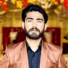 Syed Muhammad H.