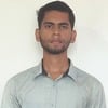 Nitish P.