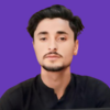 Shah S.