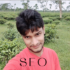 Parvez I.