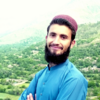 Walayat K.