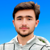 Tufail A.