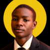 Joshua Oluwapelumi  F.