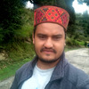 Narender P.