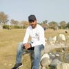 Muhammad N.