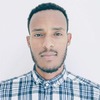 Tsegaye T.