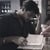 Rahul S.