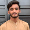 Hasnain A.