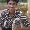 Shreesha D.