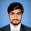 Zulqar N.